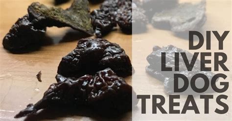 Homemade Dehydrated Liver Dog Treats - Canine Compilation