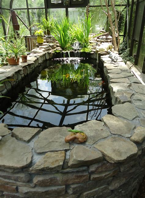 File:Outdoor heated fish tank enclosed by glass plus reflections.jpg - Wikipedia