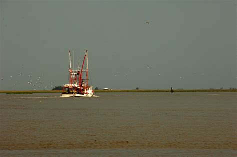 DVIDS - Images - Deepwater Horizon oil spill cleanup