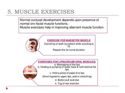 Muscle Exercises: Masseter Muscle Exercises