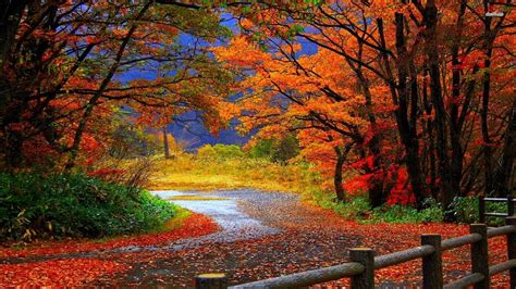 Autumn Trail Wallpapers - Top Free Autumn Trail Backgrounds ...