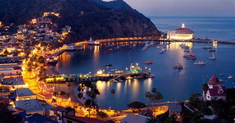 Ultimate Guide to Catalina Island - Visit Long Beach