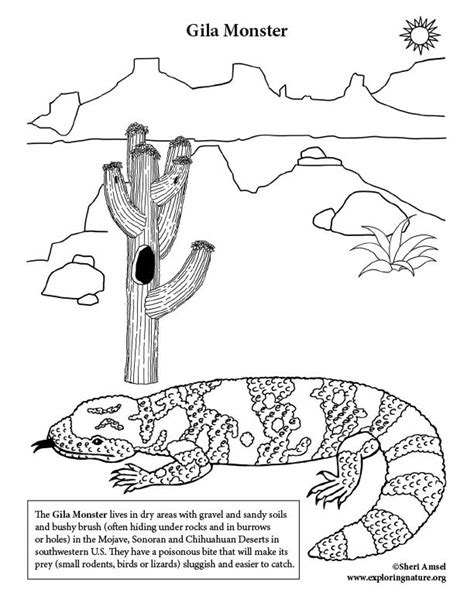 Gila Monster Coloring Page | Monster coloring pages, Coloring pages, Color