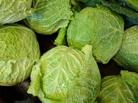 Lettuce Heads Free Stock Photo - Public Domain Pictures