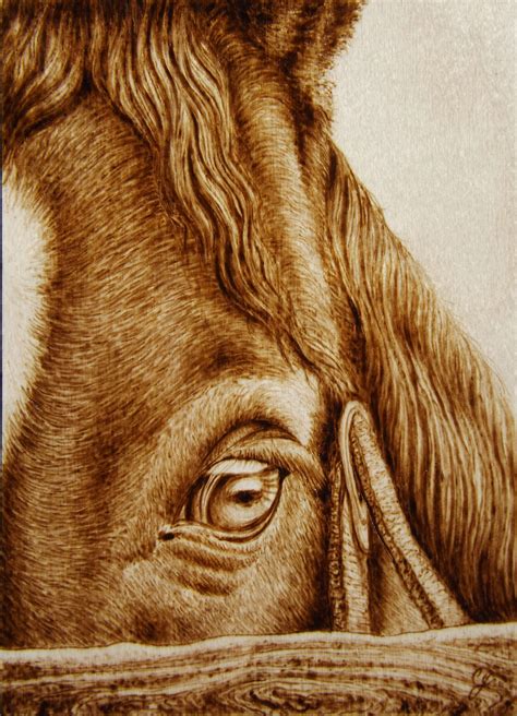 "Oculus" Horse up close! Animal Pyrography by Cara Jordan | Wood burning patterns stencil ...