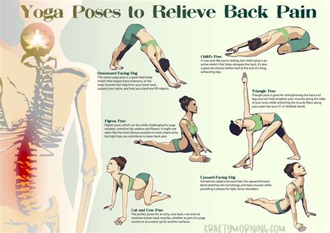 top yoga poses for lower back painting