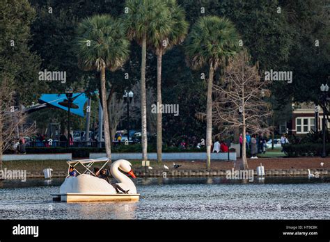 Tourists paddle Swan boats around Lake Eola Park in Orlando, Florida ...