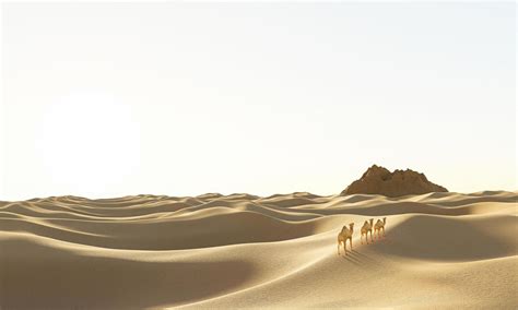 Sahara Logo Stock Photos, Images and Backgrounds for Free Download