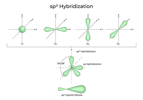 Hybridization - Definition, Types, Rules, Examples - GeeksforGeeks