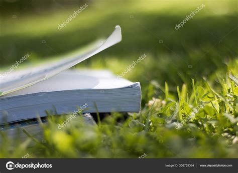 Books Green Grass Park Stock Photo by ©patrick.daxenbichler 308753364