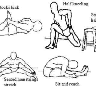 (PDF) The Effect of Static Stretching on Maximal Voluntary Contraction ...