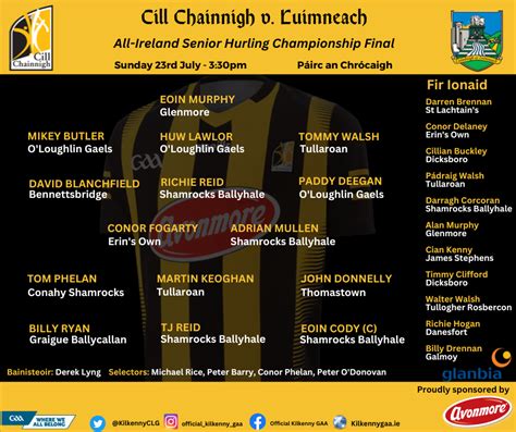 Kilkenny Hurling Team 2024 - Alis Lucina