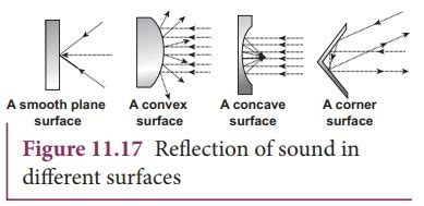 Reflection of Sound Waves