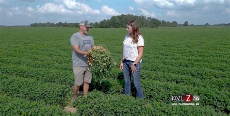 Peanut grower explains growing and harvesting process | AGDAILY