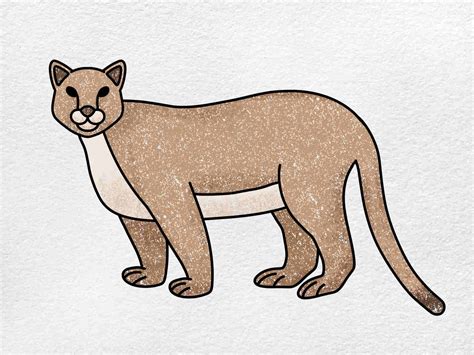 Mountain Lion Drawing Poster | ubicaciondepersonas.cdmx.gob.mx