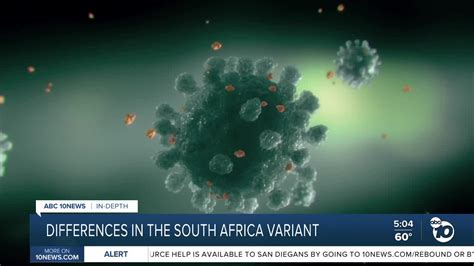 What makes the South Africa variant different?