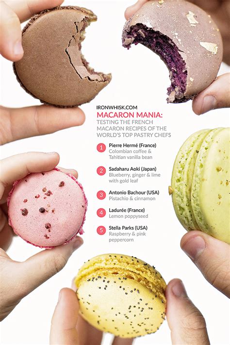 Macaron Mania: Recipes of the World's Top Chefs | IronWhisk