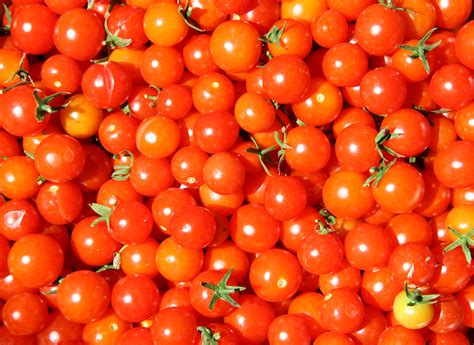 File:Cherry tomatoes.jpg - Wikipedia