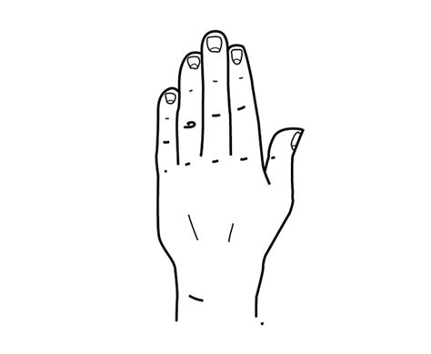 Quick Tip: How to Draw a Hand Based on Geometric Shapes