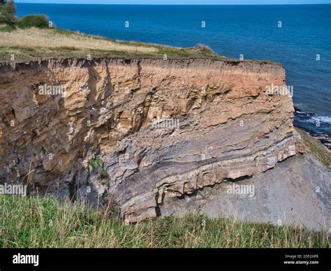 On eroded coastal cliffs near Whitby, strata of the Whitby Mudstone Formation - Sedimentary ...