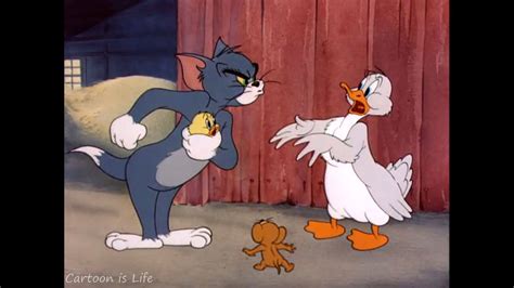 Tom and Jerry - Little Quacker | Tom and Jerry - 047 - Little Quacker - Best Funny Cartoons Best ...