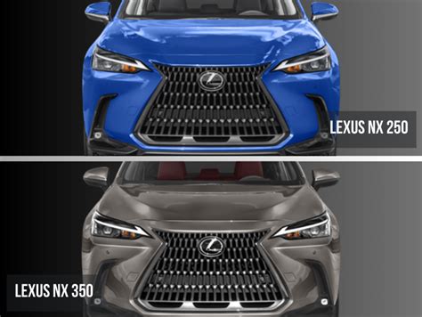 Lexus NX 250 vs. Lexus NX 350 | Comparing NX Models | DARCARS Lexus of Silver Spring