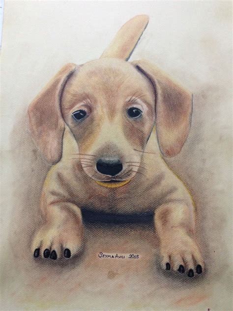 Dog drawing with soft pastel