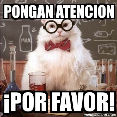 Meme Chemistry Cat - Pongan atencion Â¡por favor! - 3575053