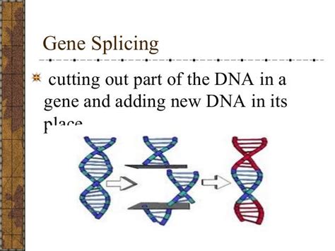 What is gene splicing? - mccnsulting.web.fc2.com