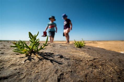 Discover a Summer of Play with the National Trust in Norfolk | Visit Norfolk