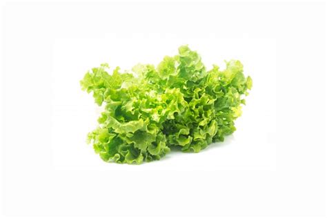 Lechuga hidropónica (1kg) – Carlos Hidalgo