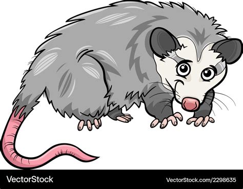 Opossum animal cartoon Royalty Free Vector Image