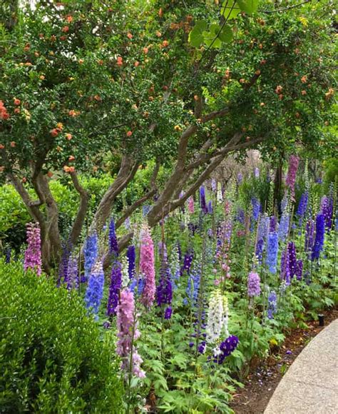 18 Beautiful Botanical Gardens in California You Have to Visit ...