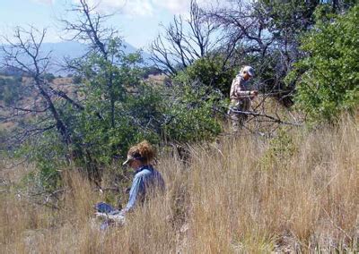 Climate Change in the Sonoran Desert (U.S. National Park Service)