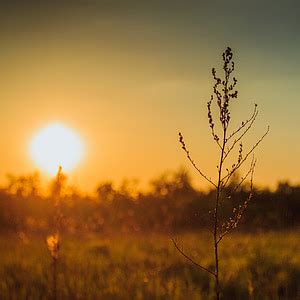 Brezplačna fotografija: sončni zahod, krajine, narave, nebo, sonce, sončni zahod ozadja, sončni ...