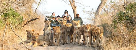 Thornybush Game Reserve | Big 5 Safari | Thornybush Collection