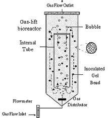 Types Of Fermenters - Bioprocessing