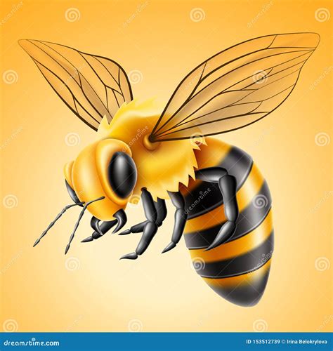 Vector Realistic Flying Bee Natural Honey Product Stock Vector ...