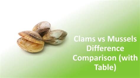 Green Mussels vs Black Mussels Difference Comparison (With Table)