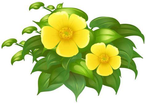 Yellow flowers in green bush 446269 Vector Art at Vecteezy