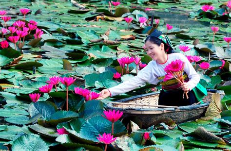 Tổng hợp các điểm du lịch miền Tây yên bình làm say lòng lữ khách - Hello Vietnam Travel