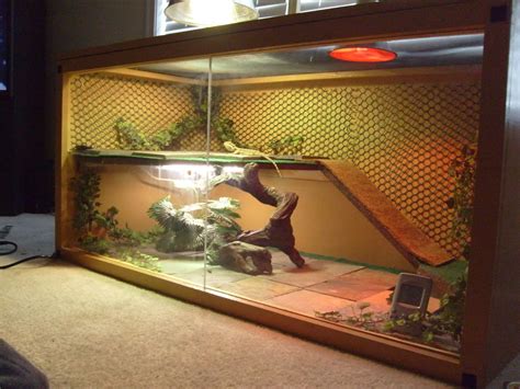 Bearded Dragon Tank 120 Gallon at joshuamfsantana blog