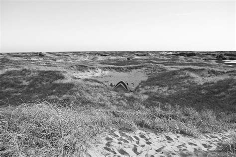 Shackleford Banks Camping Digital Art by Betsy Knapp - Fine Art America