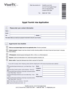 Egypt Visa Application Form Pdf - Fill and Sign Printable Template Online