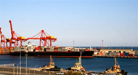 Kowloon Bay - Ships in Fremantle Port - Fremantle Shipping News