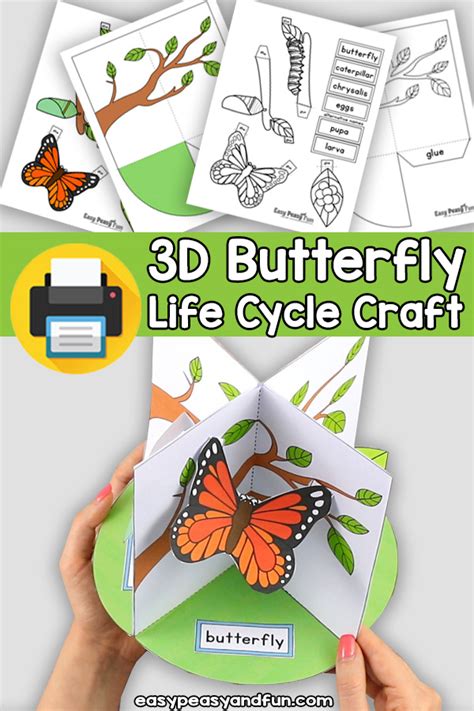 3d Butterfly Life Cycle Craft With Free Printable In 2022 Butterfly – NBKomputer