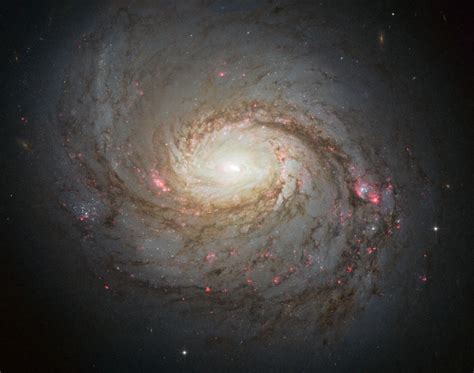 Hubble Views the Hidden Depths of Spiral Galaxy Messier 77