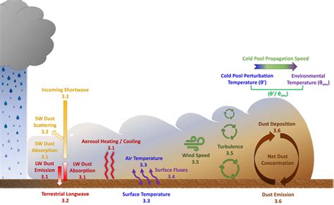 The “dust direct effect cascade:” a conceptual schematic representing... | Download Scientific ...