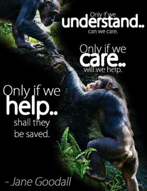 Quotes About Helping Animals. QuotesGram