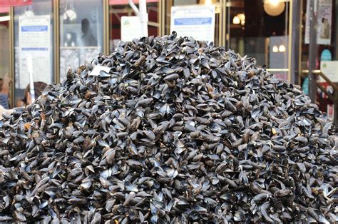 Lille - La Grande Braderie de Septembre 2018 - Pyramide de moules